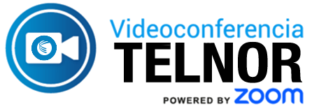 Icono Videoconferencia Telmex
